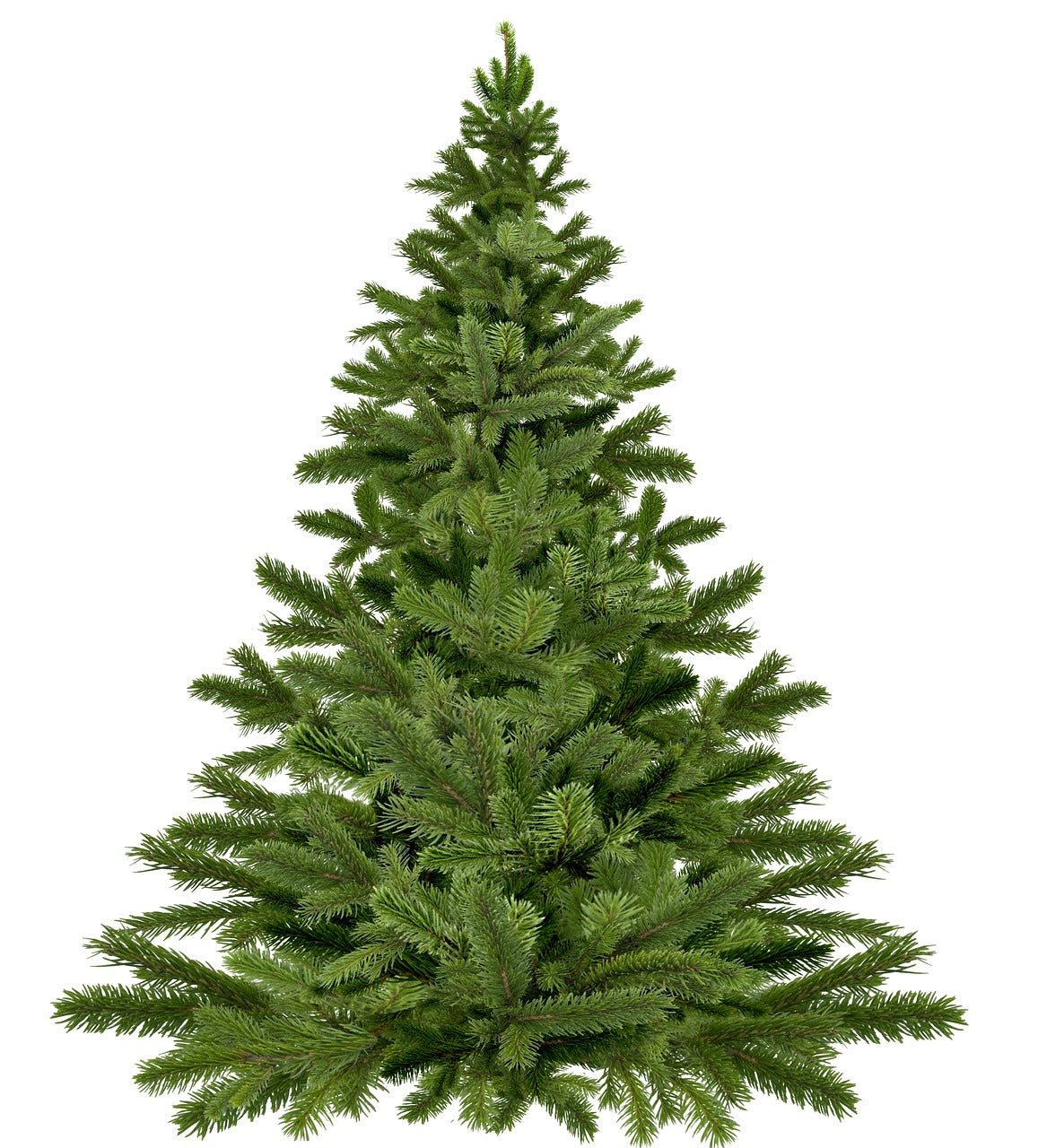 Nos Sapins de Noël